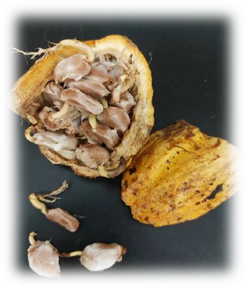 副產物利用不足 icon